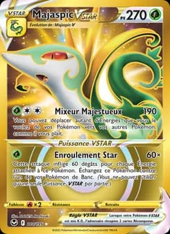 Majaspic VSTAR 210 — Tempête Argentée