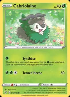Carte Pokémon
