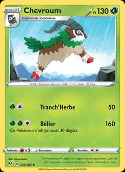 Carte Pokémon