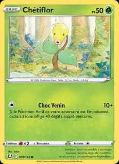 Carte Pokémon
