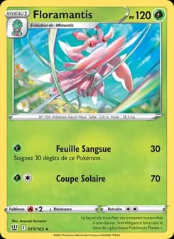 Carte Pokémon
