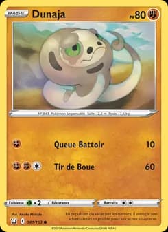 Carte Pokémon