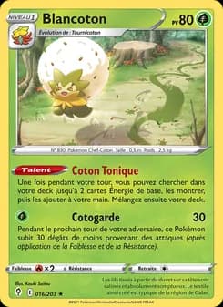 Carte Pokémon