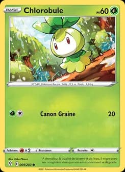 Carte Pokémon
