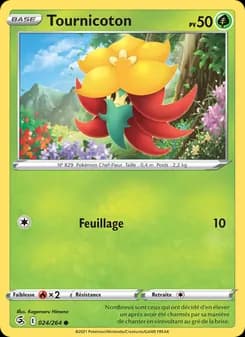 Carte Pokémon