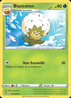 Carte Pokémon