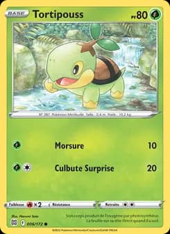 Carte Pokémon
