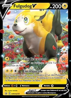 Carte Pokémon