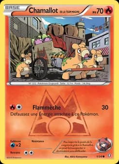 Carte Pokémon