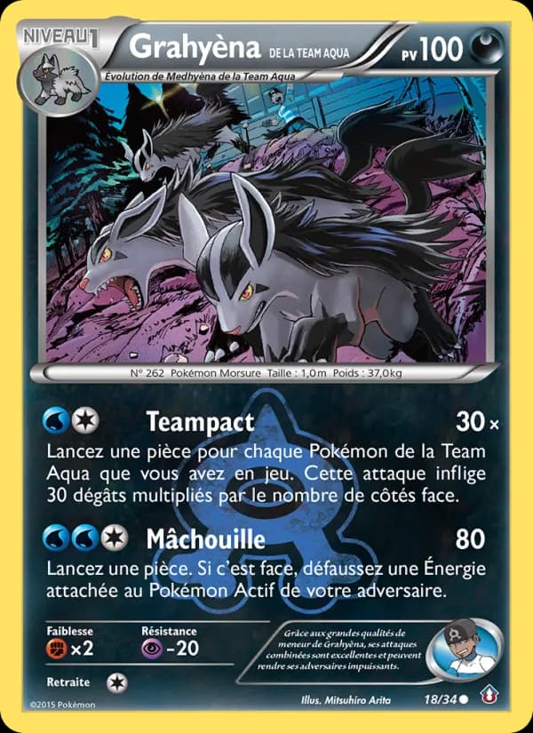 Grahyèna de la Team Aqua