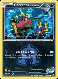 Carte Pokémon