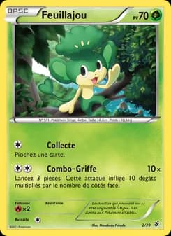 Carte Pokémon