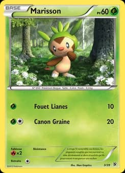 Carte Pokémon