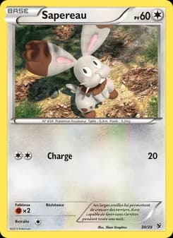 Carte Pokémon