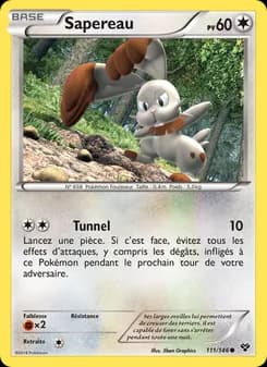 Carte Pokémon
