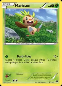 Carte Pokémon