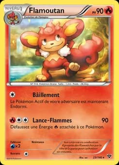 Carte Pokémon