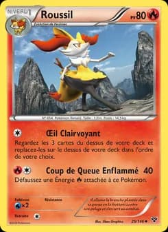Carte Pokémon
