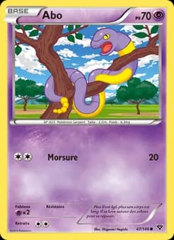 Carte Pokémon
