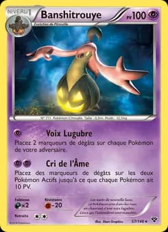 Carte Pokémon