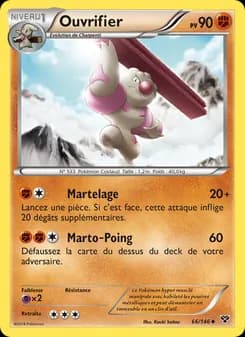 Carte Pokémon