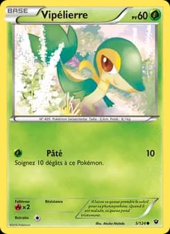Carte Pokémon