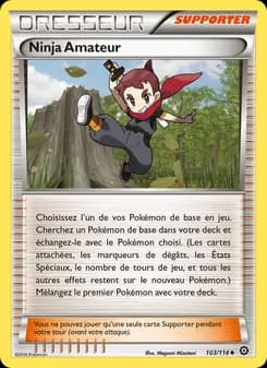 Carte Pokémon
