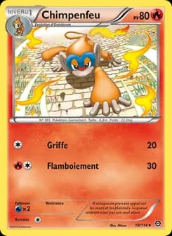 Carte Pokémon