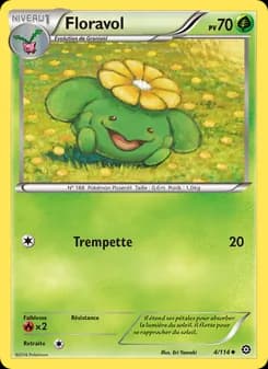 Carte Pokémon