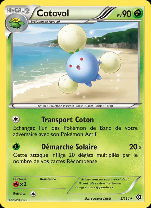 Cotovol