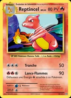 Carte Pokémon