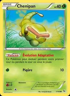 Carte Pokémon