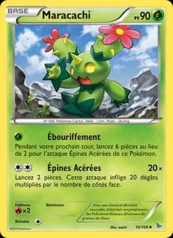 Carte Pokémon