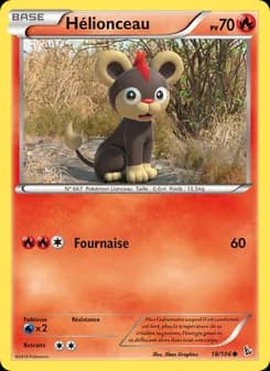 Carte Pokémon