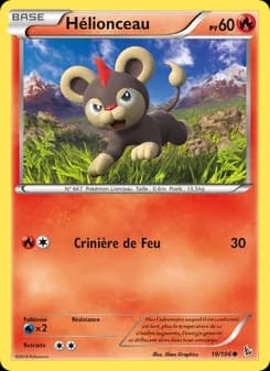 Carte Pokémon