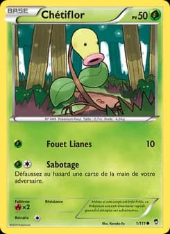 Carte Pokémon