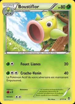 Carte Pokémon