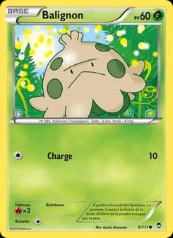 Carte Pokémon