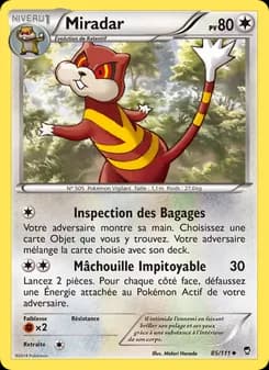 Carte Pokémon