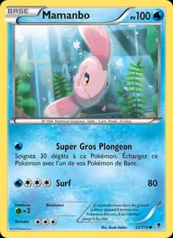 Carte Pokémon