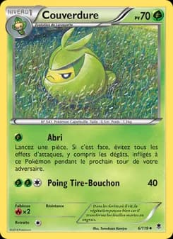 Carte Pokémon