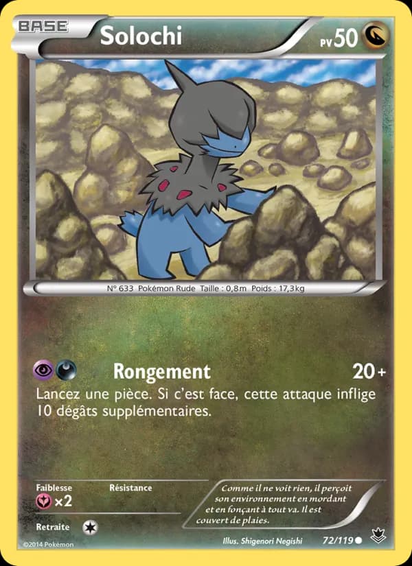 Solochi