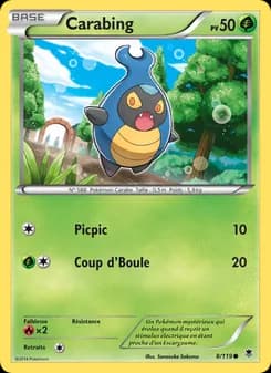 Carte Pokémon