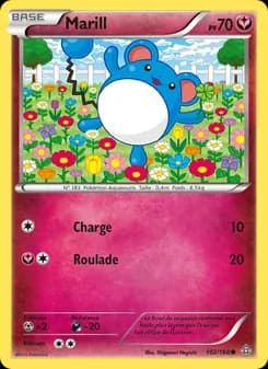 Carte Pokémon
