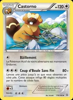 Carte Pokémon