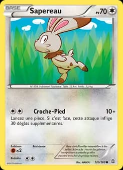 Carte Pokémon