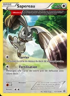 Carte Pokémon