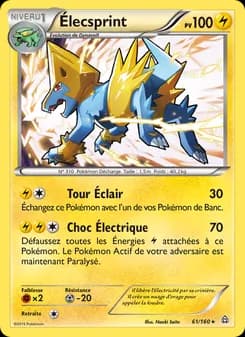 Carte Pokémon