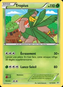 Carte Pokémon