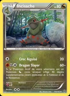 Carte Pokémon